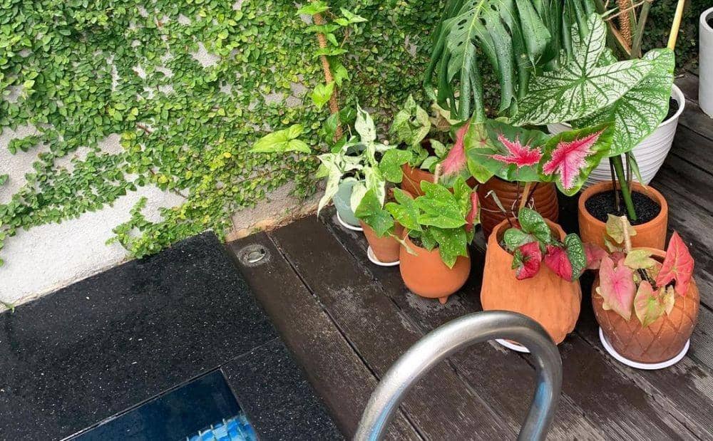 instagram.com/meisya__siregar/