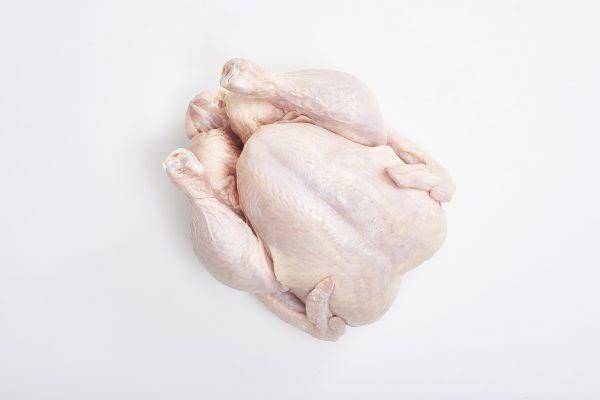 Chicken.org