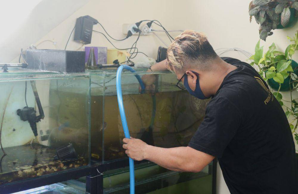 Heru saat membersihkan aquarium miliknya. IDN Times/Alfi Ramadana