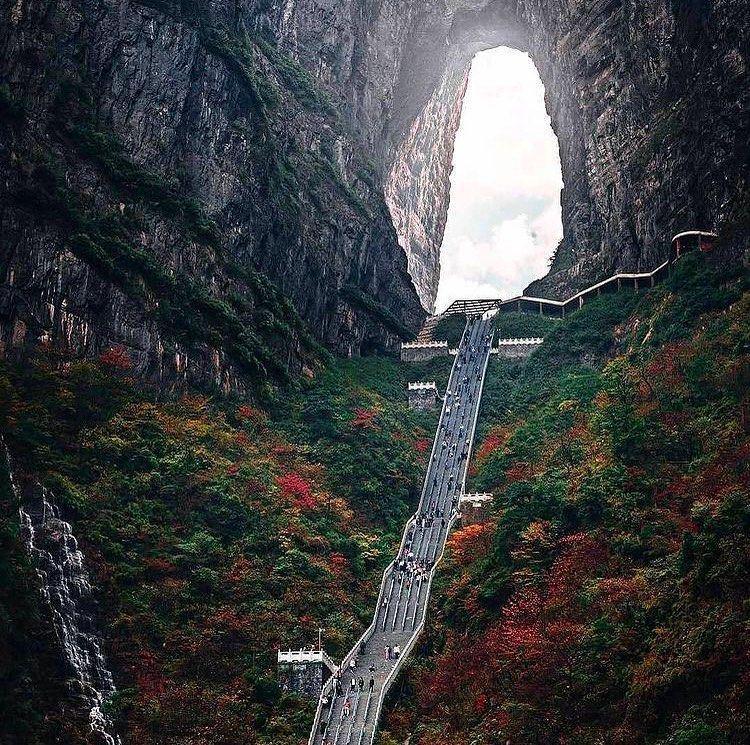 instagram/utn_nature