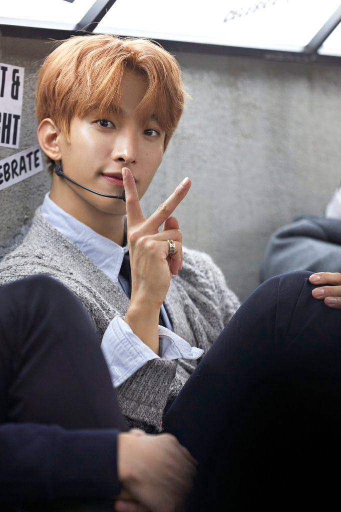 twitter.com/pledis_17