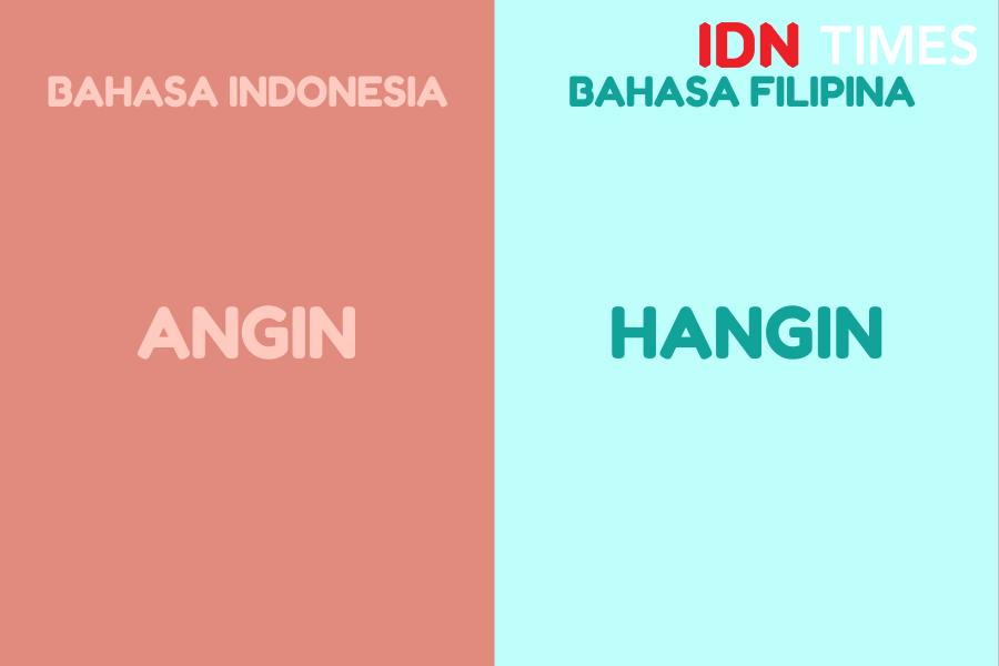 IDN Times/M. Tarmizi Murdianto