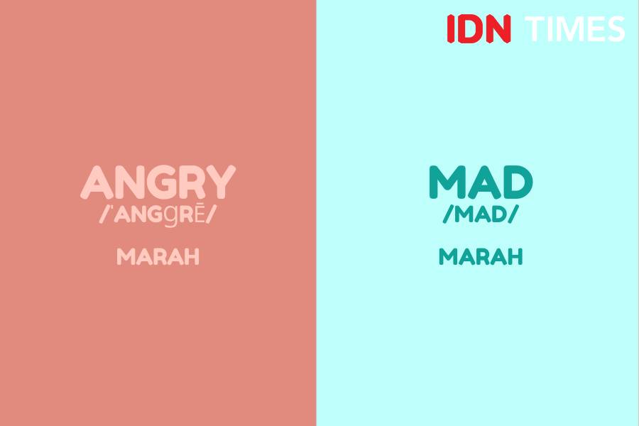 IDN Times/M. Tarmizi Murdianto