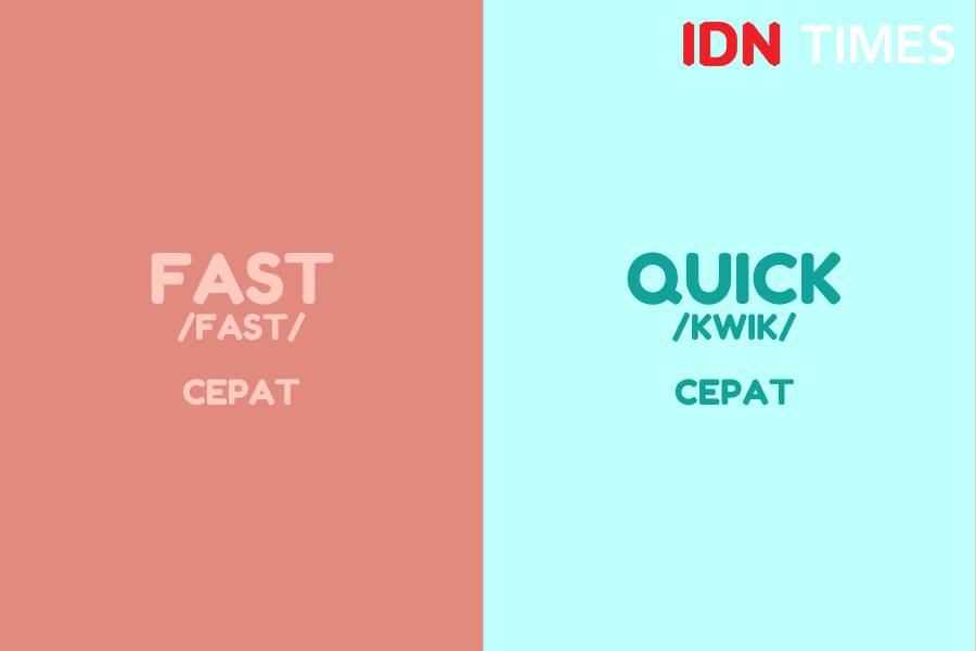 IDN Times/M. Tarmizi Murdianto
