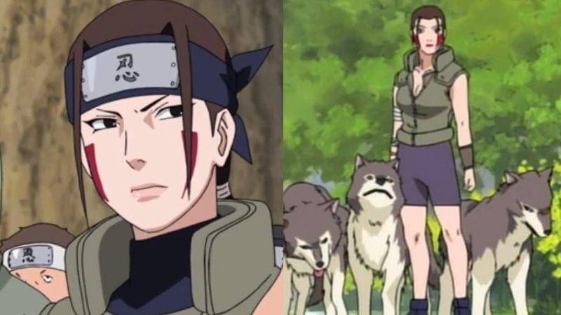 Hana Inuzuka. (Dok. Pierrot/Naruto)