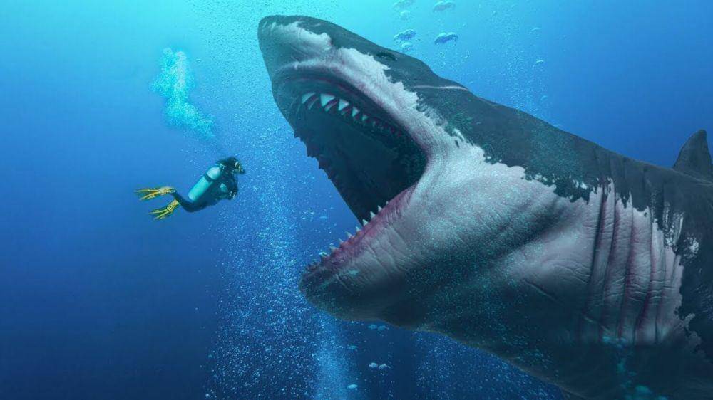 7 Fakta Mengejutkan tentang Megalodon yang Wajib Kamu Ketahui