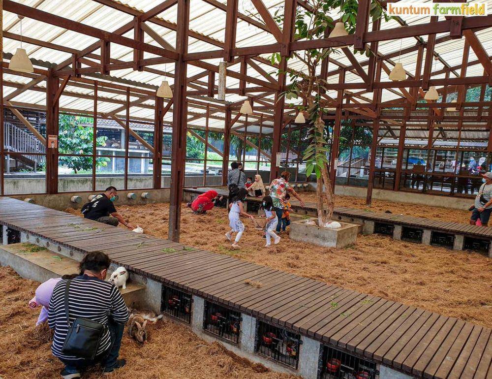 Kuntum Farmfield (instagram.com/kuntumfarmfield)