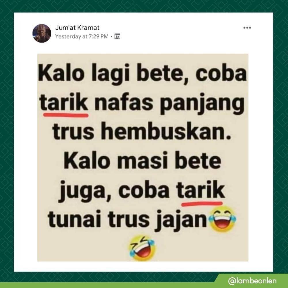 Instagram lambeonlen