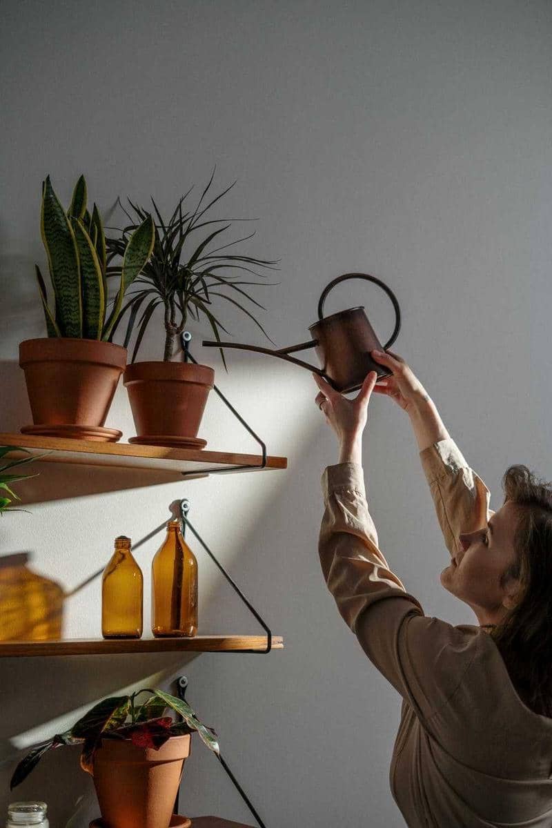 pexels.com/cottonbro