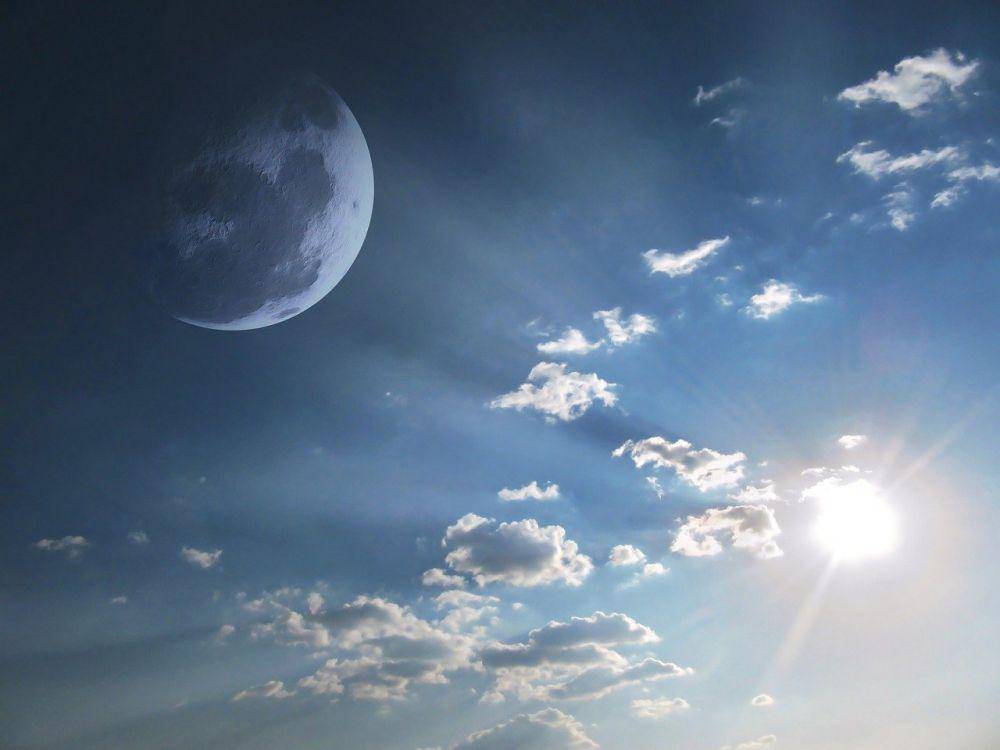 pixabay.com/ChadoNihi