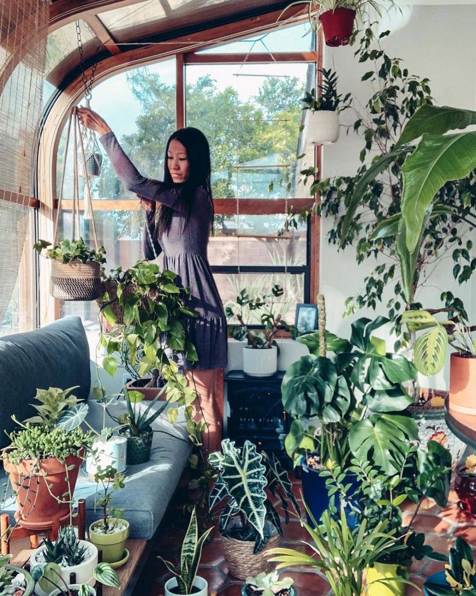 instagram.com/allmyalocasias