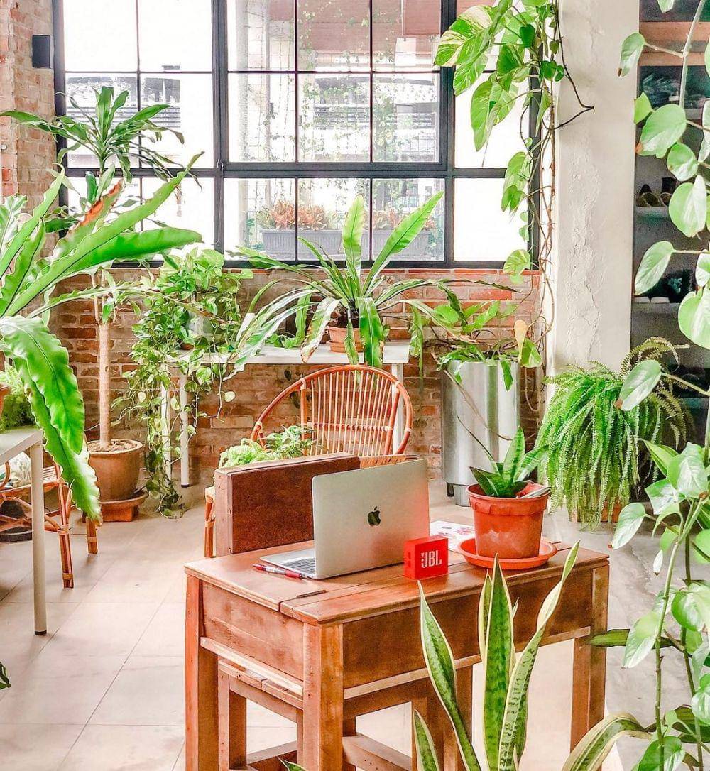 instagram.com/windflower_anniechan