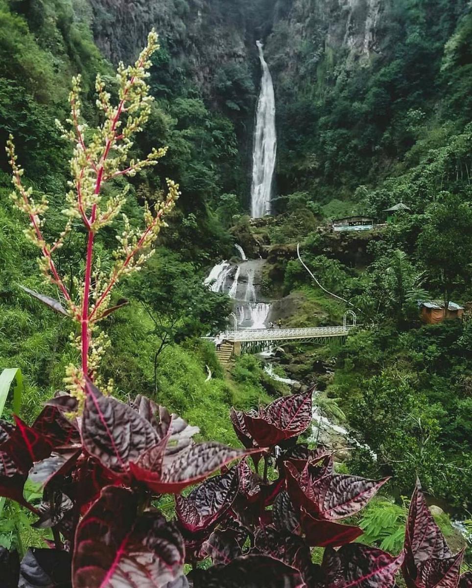instagram.com/indotravellers.co