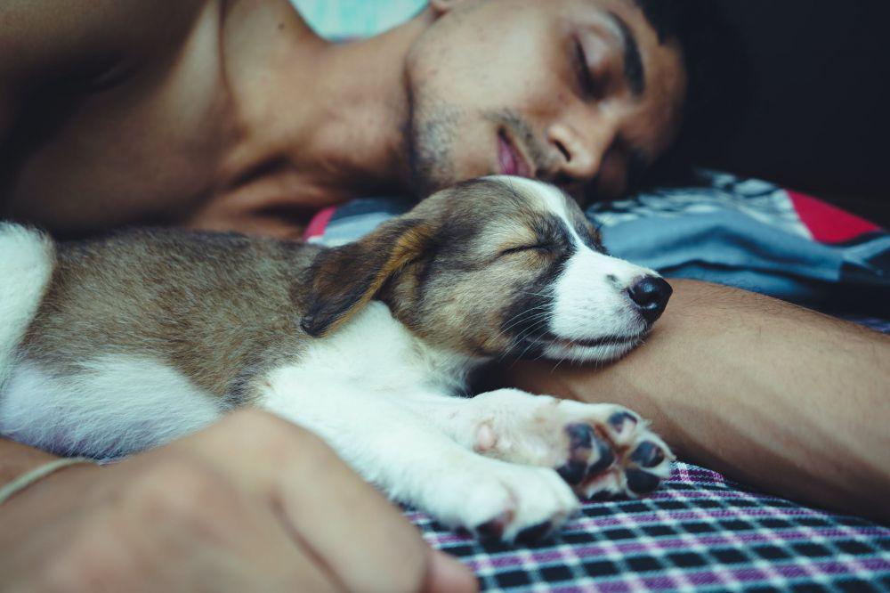 pexels.com/Yogendra Singh