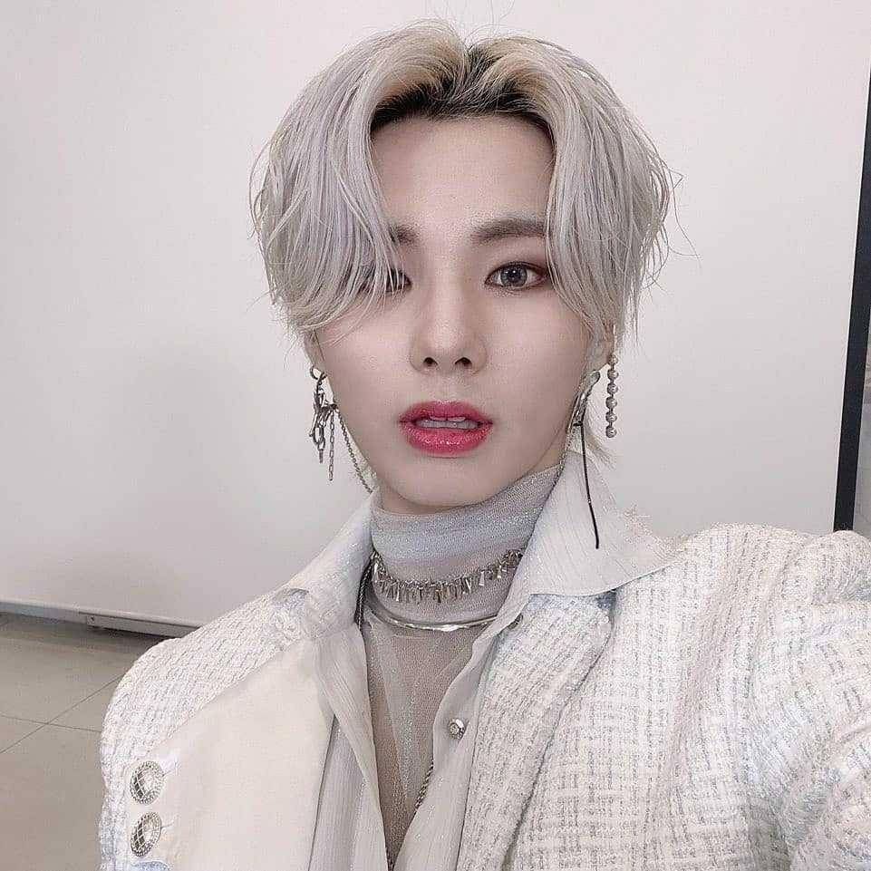 instagram.com/elast_official