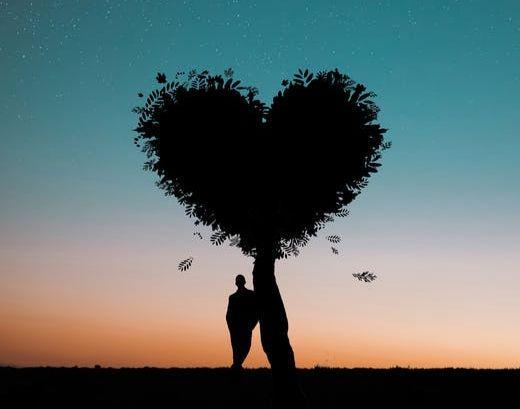pexels.com/Rakicevic Nenad