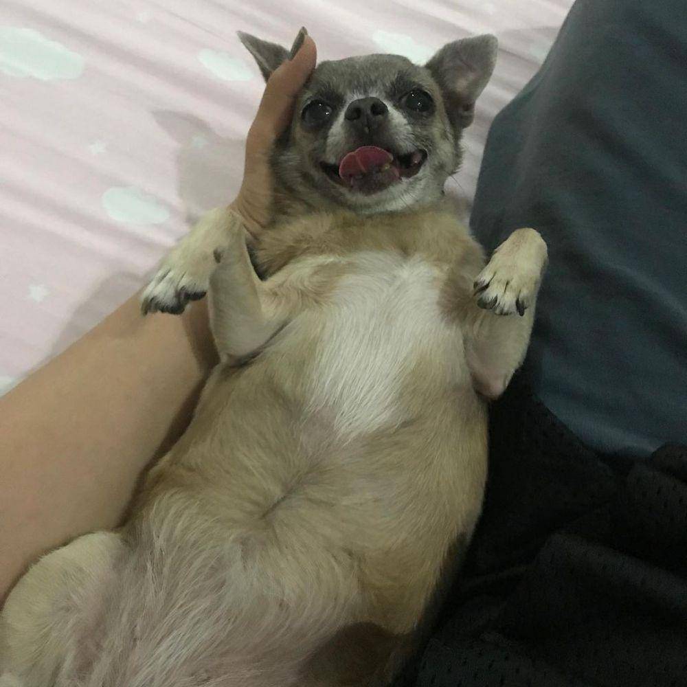 instagram.com/_fatpixie
