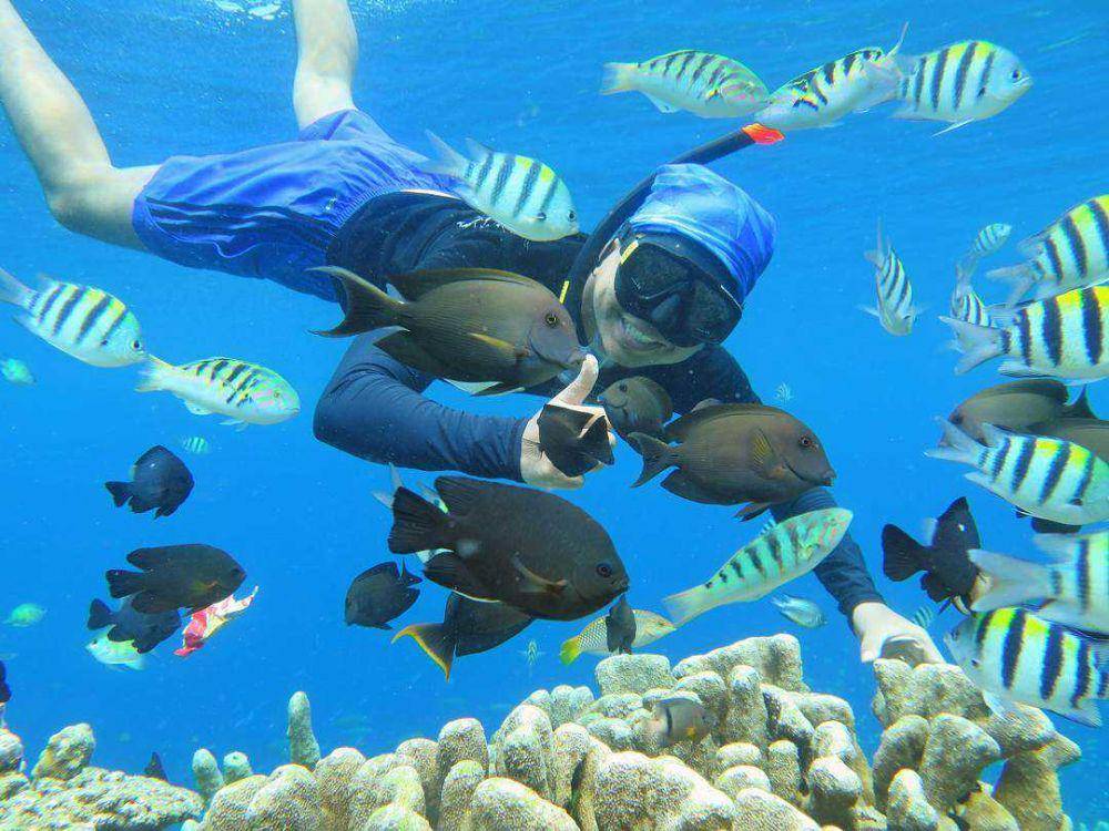 instagram/togeantravel