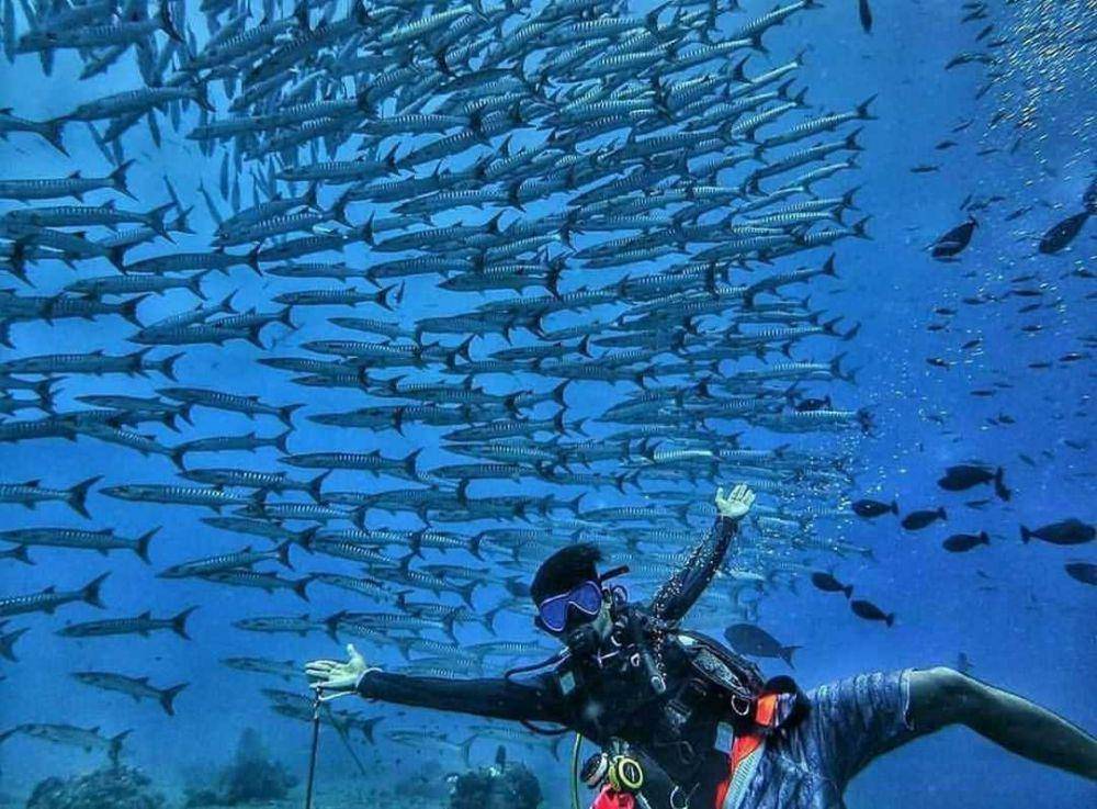 instagram/togean.islands
