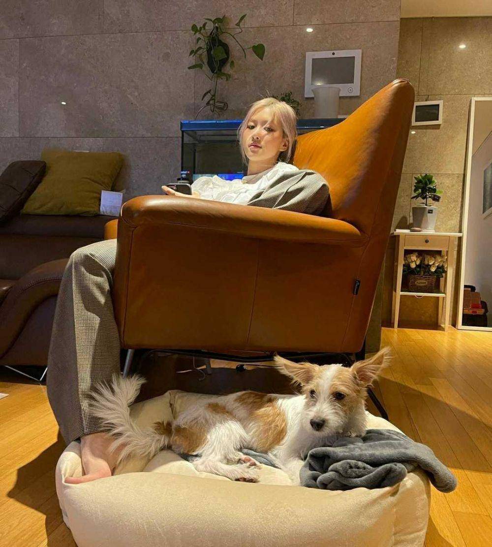 Instagram.com/roses_are_rosie