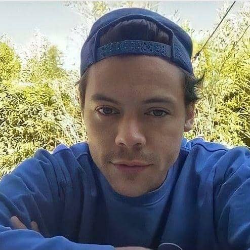 instagram.com/harrystyless.id