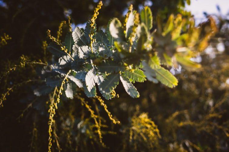 Unsplash.com/sonnyseven