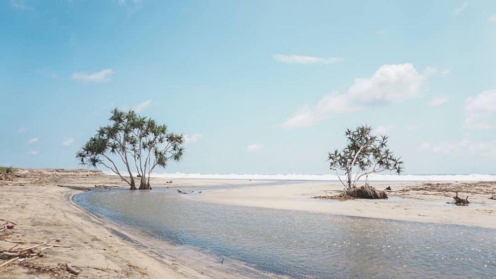 10 Destinasi Pantai di Tulungagung, Pesonanya Bukan Main!