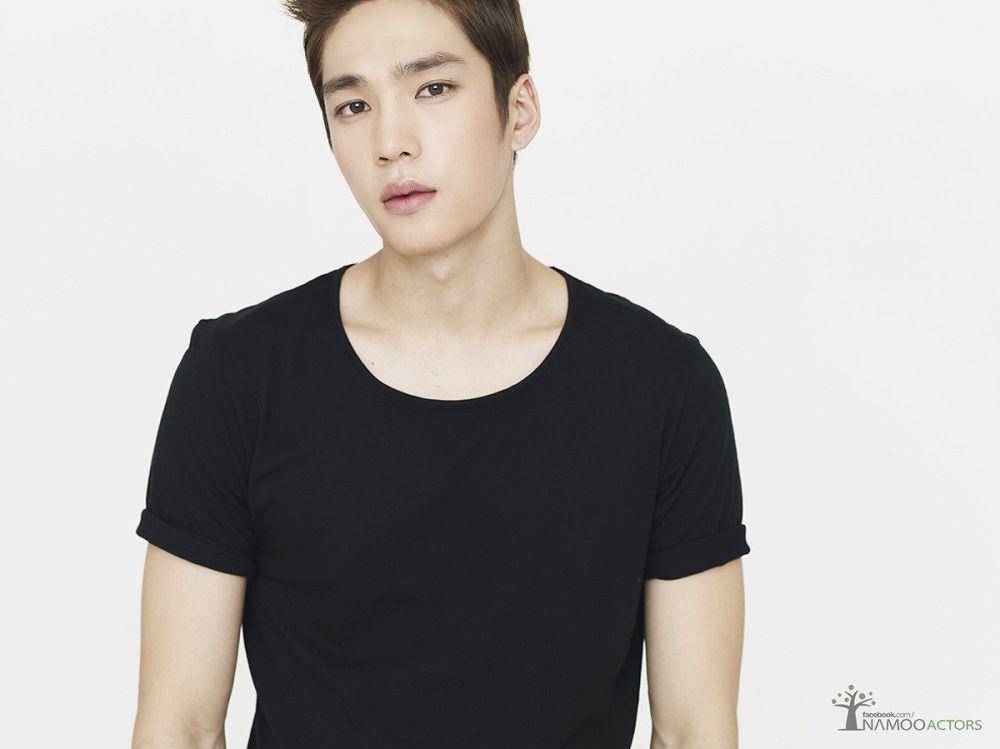 hancinema.net