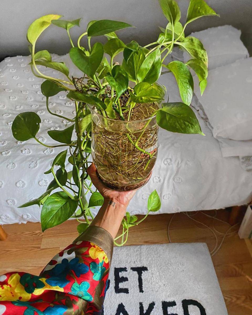 instagram.com/yougrowgirl_