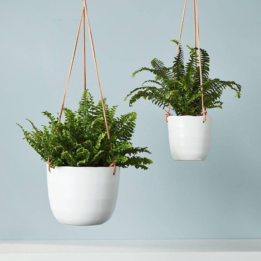 plants.com