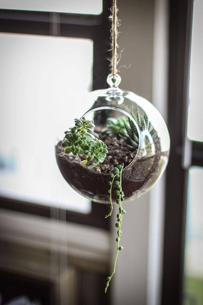 balconygardenweb.com