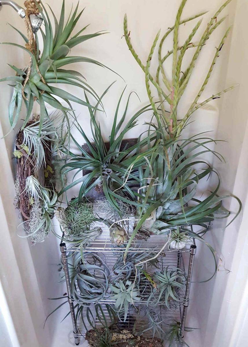 homesteadandchill.com