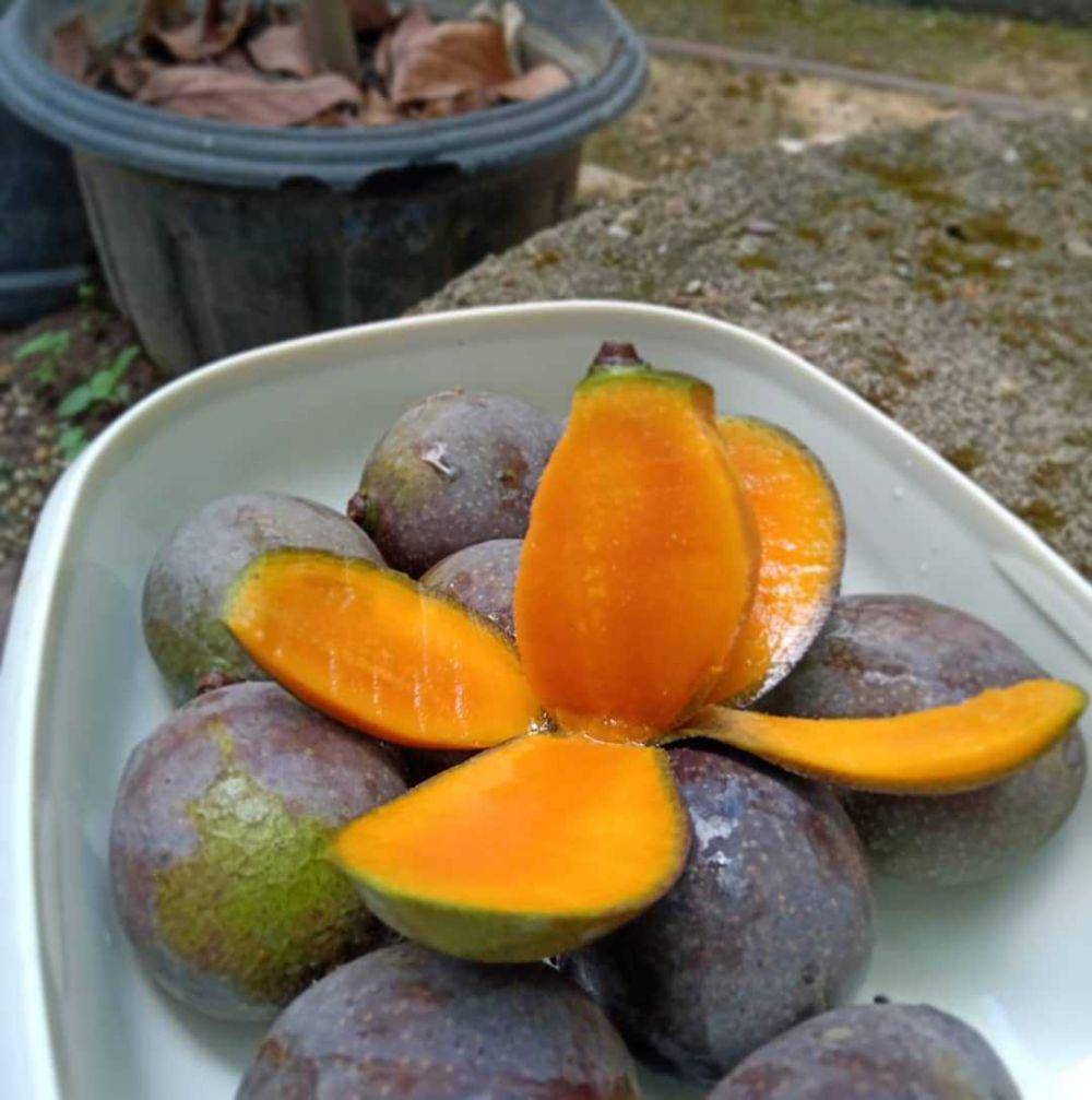 instagram.com/banjarmasinfood