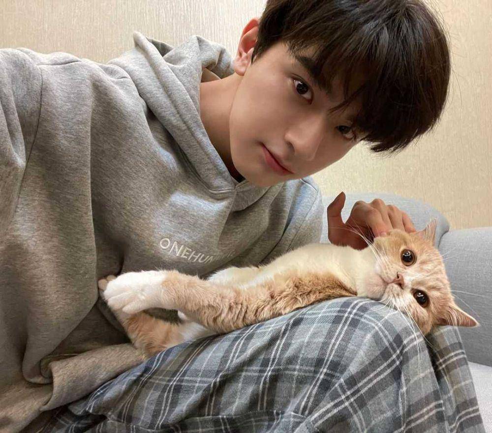 instagram/iam_linyi