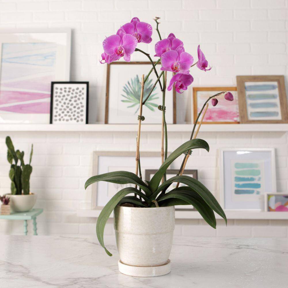 bhg.com