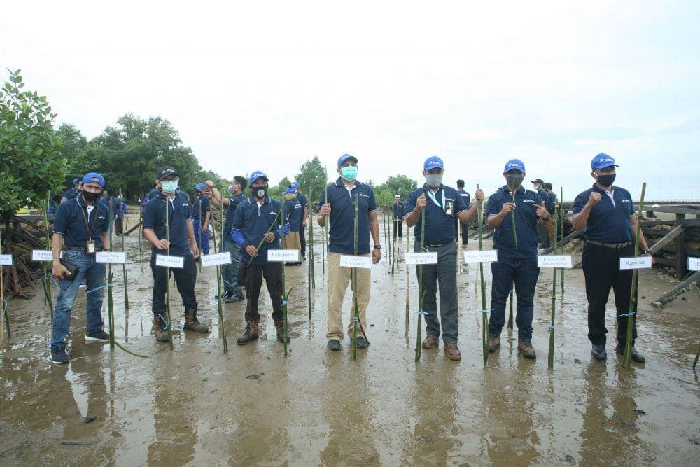Penanaman bibit mangrove di Pantai Biru, Kersik, Kabupaten Kutai Kartanegara (Dok.PHKT)