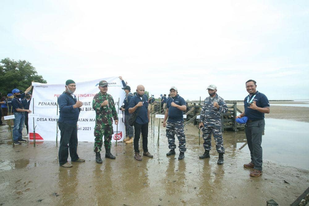 Penanaman bibit mangrove di Pantai Biru, Kersik, Kabupaten Kutai Kartanegara (Dok.PHKT)