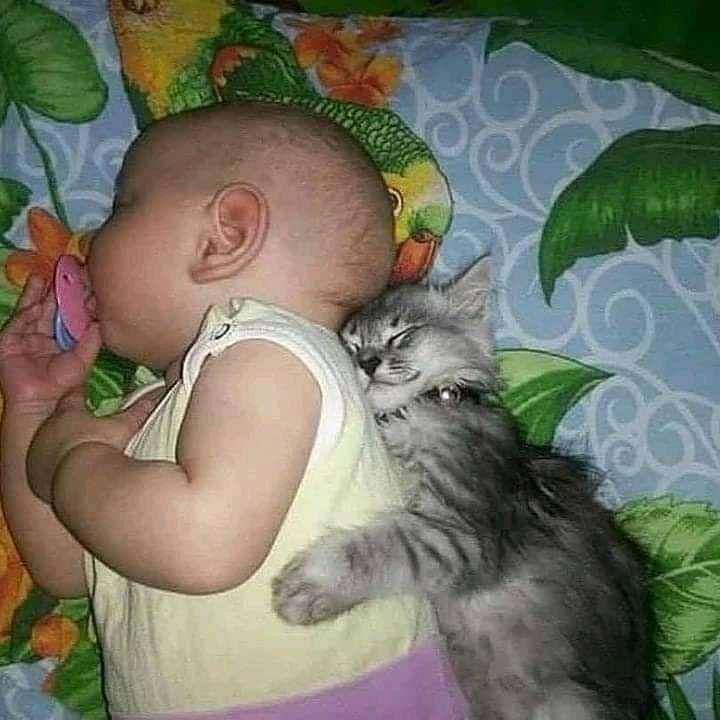 facebook.com/BlendHoz
