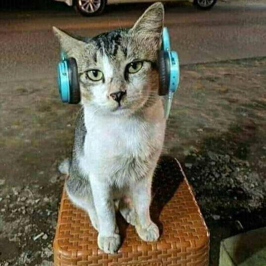 facebook.com/Rafi Patra