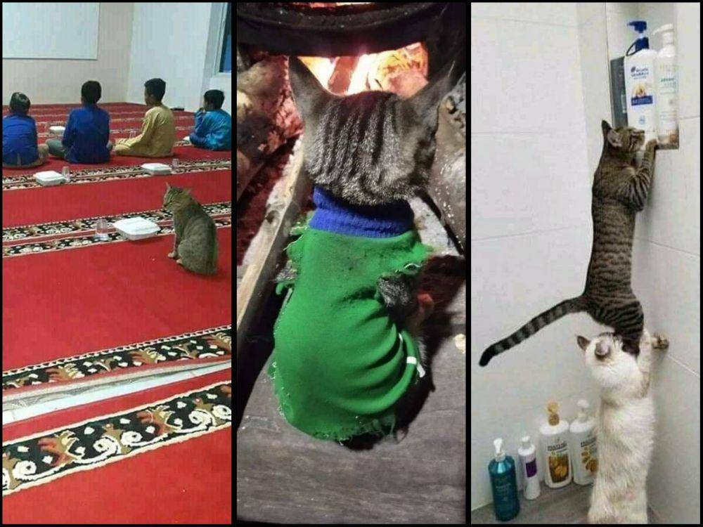 Berbagai sumber