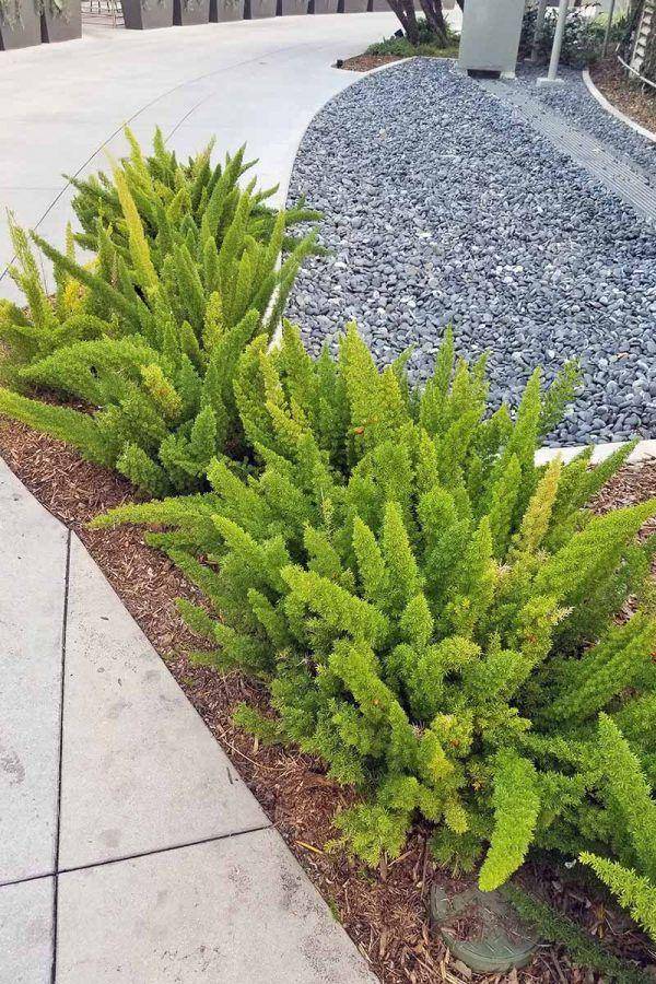 gardenerspath.com