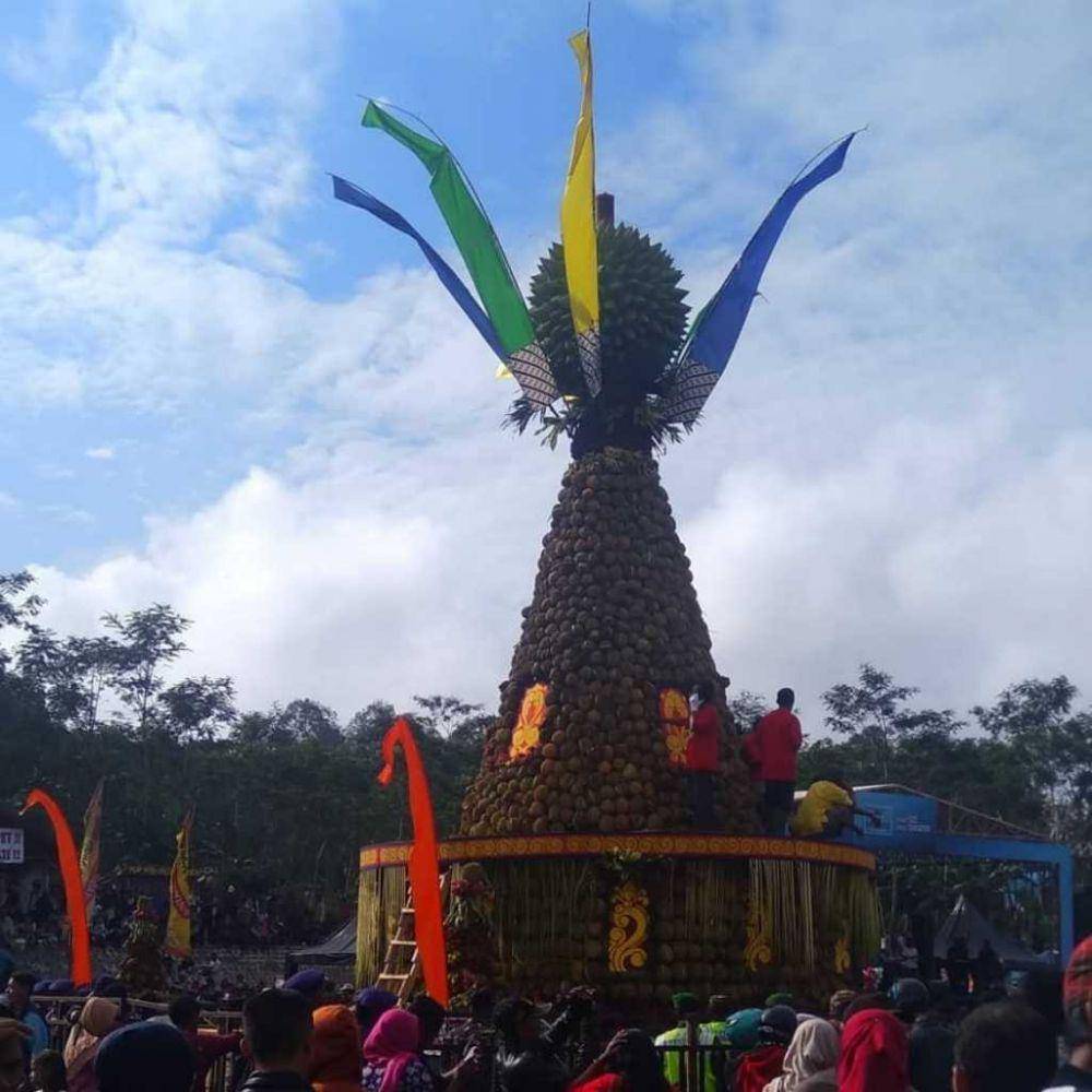 Pesta Durian Wonosalam 2020. IDN Times/Dok. Istimewa