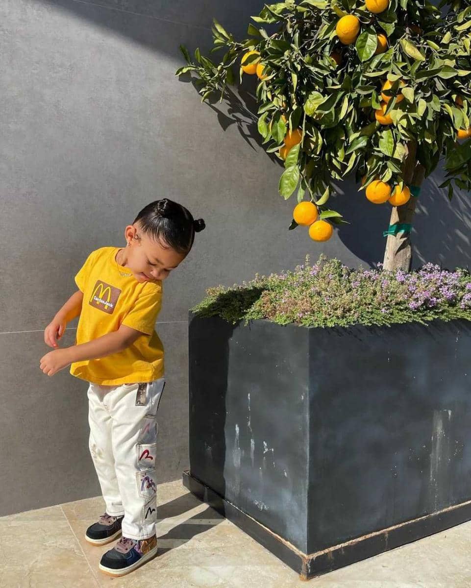 instagram.com/kyliejenner