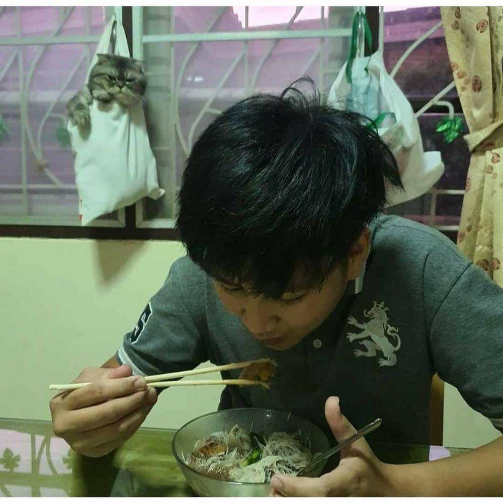 instagram.com/kucinggua