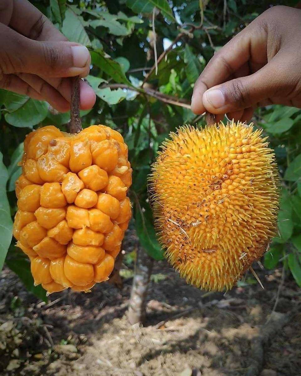 Instagram.com/infobandung.id