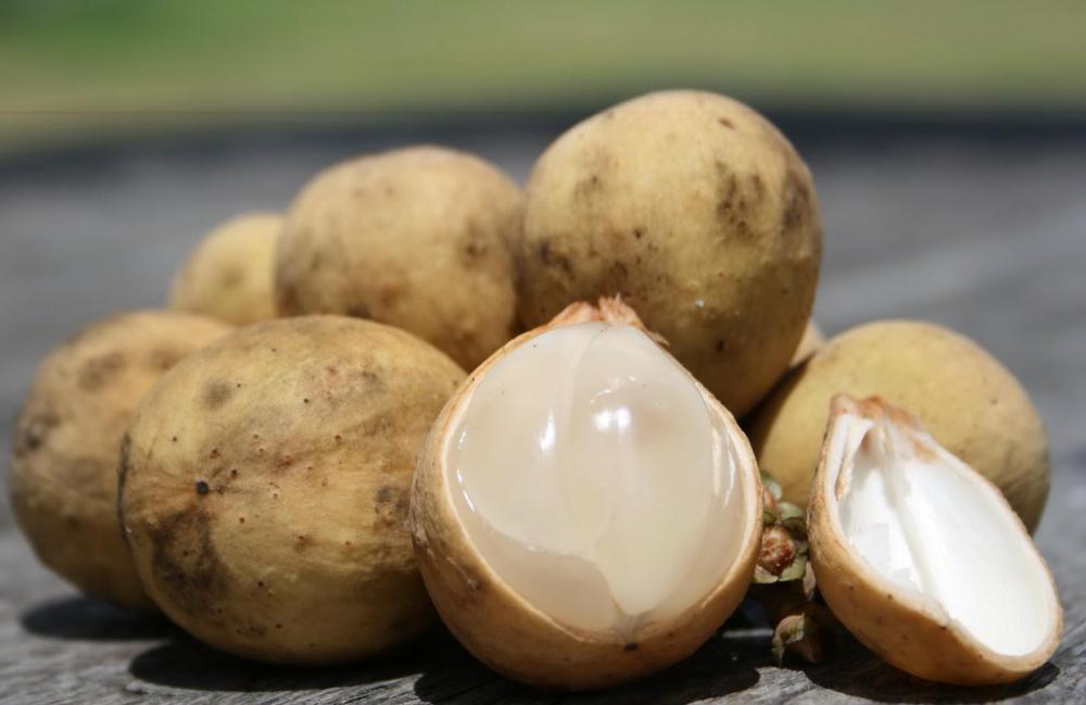 7 Nama Buah yang Unik di Kalimantan Selatan, Tahu Buah Lahung?