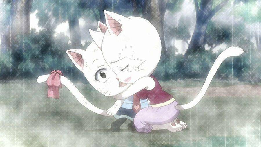 funimation.com/Fairy Tail