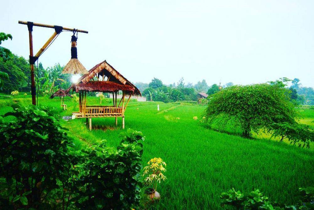 instagram.com/sanusianwar944