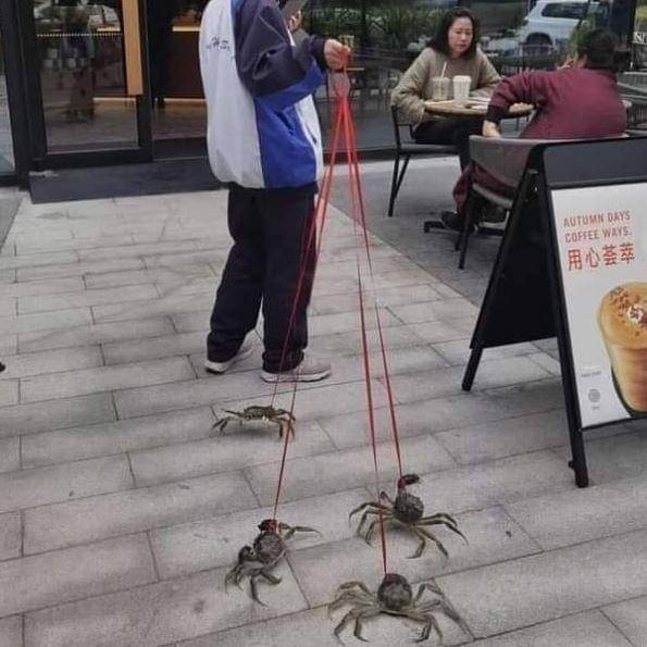 Instagram wkwkland_real