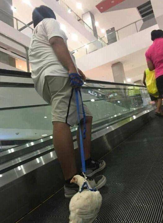 FacebookKementrianHumorIndonesia